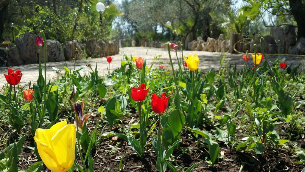 Willa Agriturismo Tenuta La Siesta Gallipoli Zewnętrze zdjęcie