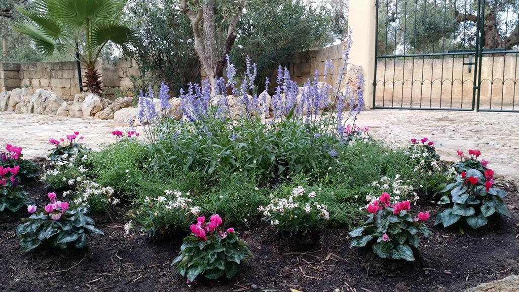 Willa Agriturismo Tenuta La Siesta Gallipoli Zewnętrze zdjęcie