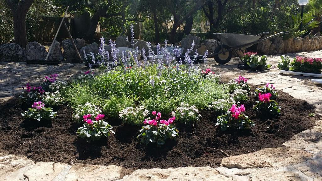 Agriturismo Tenuta La Siesta Gallipoli Zewnętrze zdjęcie