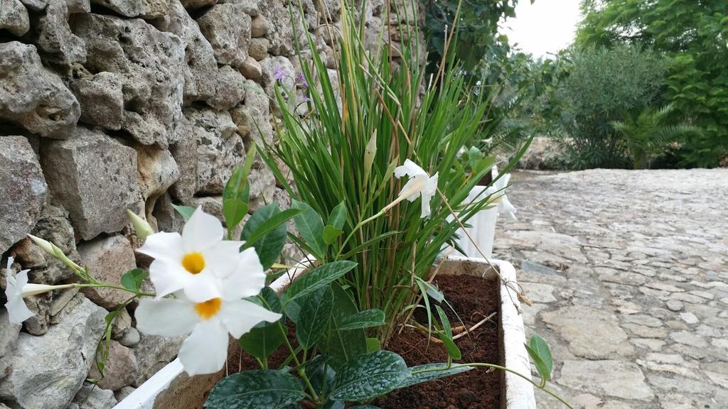 Willa Agriturismo Tenuta La Siesta Gallipoli Zewnętrze zdjęcie