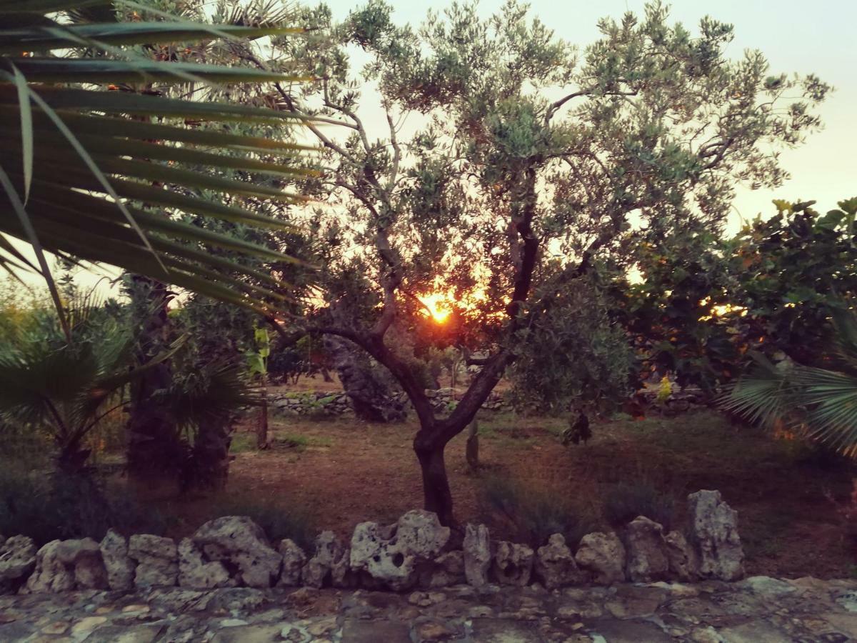 Willa Agriturismo Tenuta La Siesta Gallipoli Zewnętrze zdjęcie