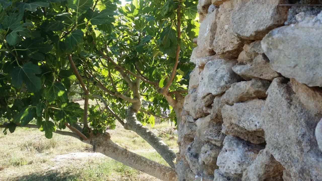 Willa Agriturismo Tenuta La Siesta Gallipoli Zewnętrze zdjęcie