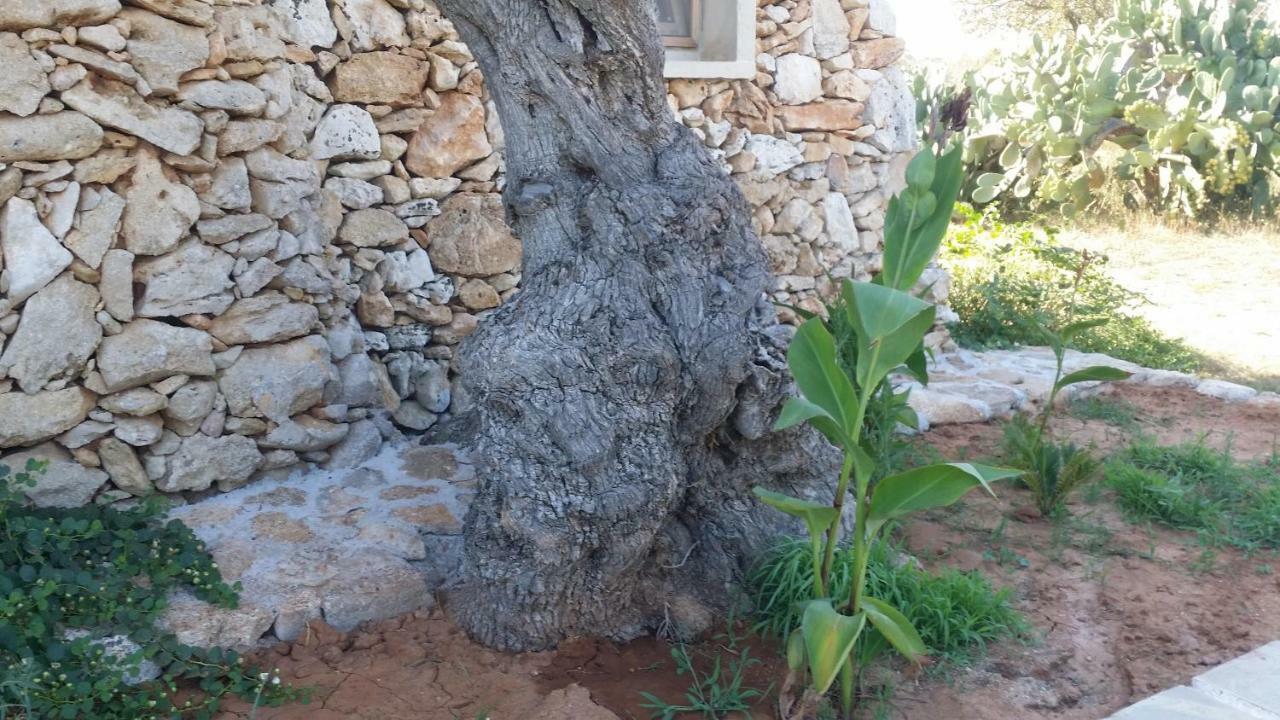 Agriturismo Tenuta La Siesta Gallipoli Zewnętrze zdjęcie
